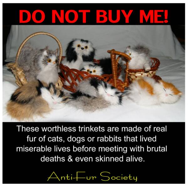 real cat fur trinkets skinned alive